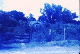 Grandparents house from Bayshore Rd